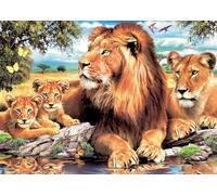 SYMON canevas kit complet adulte,lions,11CT imprimé canevas adulte,debutant point de croix kit complet 40X50cm