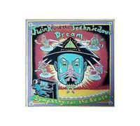 Twink And The Technicolour - Sympathy For The Beast (RSD Edition) (LP)