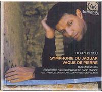 Symphonie du jaguar - Vague de pierre