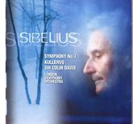 Symphonie No. 7 Orch.