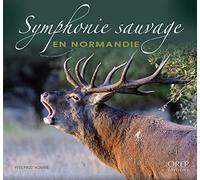 Symphonie sauvage en Normandie