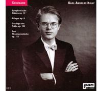 Symphonische Etueden Op13, Allegro Op8 [Import]