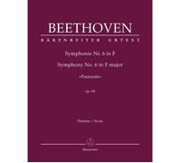 Symphony No.6 In F Op.68 / Conducteur