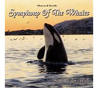 Symphony of The Whales