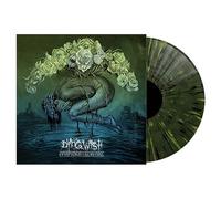 Symptoms Of Survival Vinyle Coloré