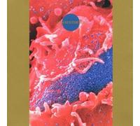 Synaesthesia