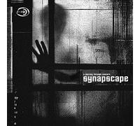 Synapscape - A Journey Through Concern