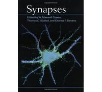 Synapses