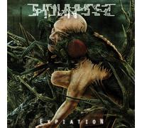 Synapses - Expiation