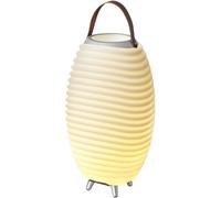Synergy 50 Lampe D'Enceinte Portable Avec Rafraîchisseur De Vin - Lumière Led,Haut-Parleur Sans Fil Bluetooth Et Support De Bouteille De Vin - Décoration Intérieure Et Extérieure,Medium
