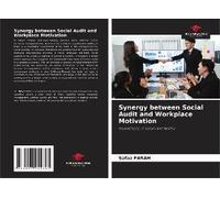 Synergy Between Social Audit And Workplace Motivation