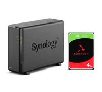 Synology Boîtier NAS DiskStation DS124 avec disque dur interne 3,5" IronWolf 4 To