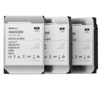 SYNOLOGY HAS5300-12T
