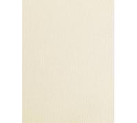 Syntego 10 feuilles de cartes de scrapbooking 30,5 x 30,5 cm, 290 g/m², cartes artisanales décoratives (lin ivoire)