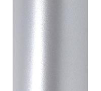 Syntego Papier de scrapbooking nacré décoratif 12" x 12" double face 120 g/m² (argent véritable)