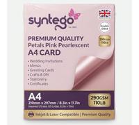 Syntego Pétales Rose Nacré Shimmer Double Face Carte Décorative A4 290 g/m² (50)