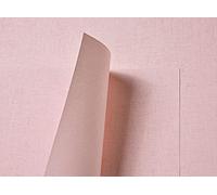 Syntego Tant Select Premium Double Face Rose Pâle Lin Papier Recyclé Gaufré 116gsm 10 Feuilles