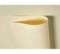 Syntego Tant Select Premium Papier recyclé double face gaufré en lin crème 116 g/m² 10 feuilles