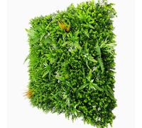 SYNTHAIETIK Lot de 5 Murs Artificiels Modèle Savane Le Mur Artificiel Savane en lot est Une Solution économique et esthétique pour Couvrir 5 m² (1M x 1M, 5, Unite)