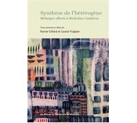 Synthèse de l'hétérogène Mélanges offerts à Micheline Cambron - Karine Cellard - Presses Universite De Montreal - broché - Essai
