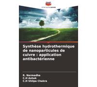 Synthèse hydrothermique de nanoparticules de cuivre : application antibactérienne