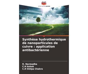 Synthèse hydrothermique de nanoparticules de cuivre : application antibactérienne