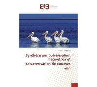 Synthèse par pulverisation magnetron et caracterisation de couches min - Daouda Diop - Universitaires Europeennes - broché - Etude
