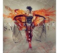 Synthesis Double Vinyle Gatefold Inclus CD Vinyle