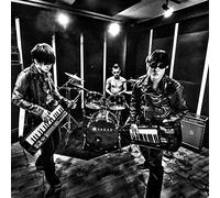 Synthesizer Garage Punk Band [Import Allemand]