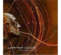 Commit Suicides - Synthetics