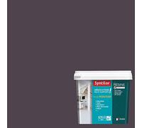 Syntilor - Peinture De Rénovation Multi-Supports Gris Graphite Satiné 0,75L