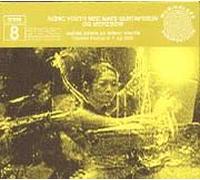 Syr 8 - Andre Sider Af Sonic Youth