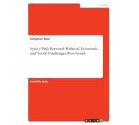 Syria's Path Forward. Political, Economic, and Social Challenges Post-Assad