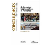 Syrie : entre fragmentation et résilience Elisabeth Longuenesse (Auteur), Laura Ruiz De Elvira (Auteur)