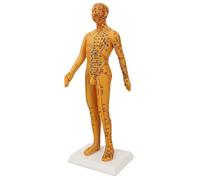 Syrisora Modèle de Corps Acupoint, Modèle D'acupuncture du Corps Humain de 53 Cm avec Gravure Haute Définition, Matériau PVC pour la Formation et la Pratique de L'acupuncture