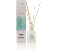 Sys Désodorisant Mikado Experience Ciel Boréal 100ml