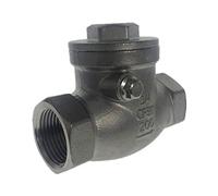 SYSCZPWC Check Valves BSPT 1-1/2 inch DN40 PN16 CF8M Threaded Swing Check Valve 200PSI Stainless Steel SS304 Female Check Valve(DN50)