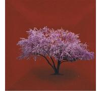 System and Station - Pictures Found in Paragraphs