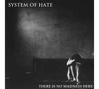 System of Hate - There Is No Madness Here