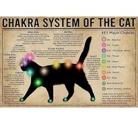 Système De Chakras du Chat Paillasson Antidérapant Absorbant Tapis De Bain Anti-Salissures Paillasson Exterieur pour Douche Balcon Couloir 40 X 60Cm