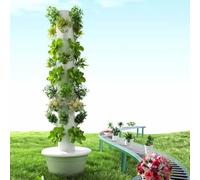 Système de croissance hydroponie Auto-circulation d'eau LED Lumières intérieures Herb Garden Vertical Planter Espace Sauver pour la cuisine Balcon à usage domestique Fruits frais Rougeurs verts Assemb