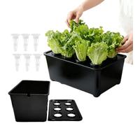 Système de culture d'intérieur,Système de germination à 6 trous,Boîte de culture de jardin - Pour fleurs et fruits d'intérieur Jardin extérieur Serre Ferme Arrière-cour Fenêtre Banc