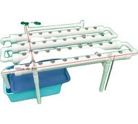 Système de culture hydroponique, 1 niveau pour 36/54 plantes, utilisation efficace de l'eau, 102cm x 45cm x 35cm