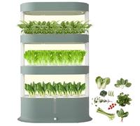 Système de culture hydroponique avec irrigation automatique et lumières à spectre complet pour le jardinage intérieur