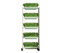 Système de culture hydroponique - Jardinière de grande capacité pour la culture sans sol, lit de jardin surélevé vertical mobile pour un usage domestique