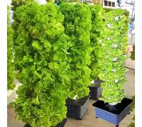 Système de Culture hydroponique, kit de Culture hydroponique, Jardin intérieur Tour hydroponique Growing SY, 15 Couches 45 Sites de Plantes Tour hydroponique Verticale, Ecosys Mobile empilab