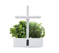 Système de Culture hydroponique Smart Garden, kit de Germination pour Jardin d'intérieur avec Ventilateur, Hauteur réglable pour la Cuisine et la Plantation intérieure