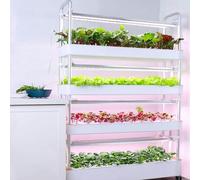 Système de Culture hydroponique, système de Culture hydroponique de Jardin intérieur,Ensemble de Tour hydroponique à 3/4 Niveaux,Jardinière hydroponique,Plante hydroponique Verticale,Convien