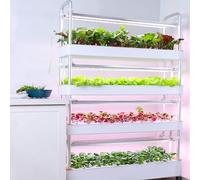 Système de Culture hydroponique, système de Culture hydroponique de Jardin intérieur,Ensemble de Tour hydroponique à 3/4 Niveaux,Jardinière hydroponique,Plante hydroponique Verticale,Convien