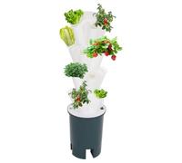 Système de Culture hydroponique, Système de Jardinage intérieur,4 Niveaux,Kit de système de Culture hydroponique,Jardinière de Jardin Verticale,pour Plantes légumières